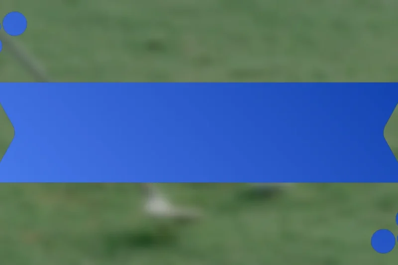 শীর্ষ ফরাসি গলফ খেলোয়াড় এবং তাদের পারফরম্যান্স মেট্রিক্স